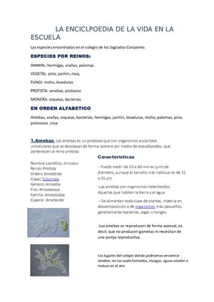 La Enciclpoedia De La Vida En La Escuela