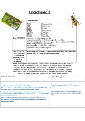Enciclopedia Terminada Djkghiufdhgiusehyugyugusyf