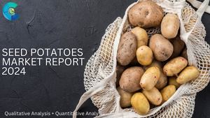 Seed Potatoes Market Report 2024