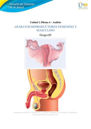 Unidad 2 - Dilema 4 Análisis: Sistemas reproductores Femenino y Masculino