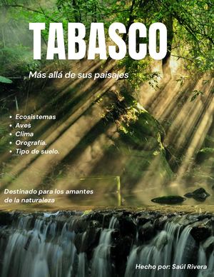 Tabasco - Más allá de sus paisajes