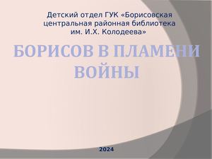 Борисов в пламени войны