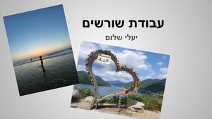 עבודת שורשים יעלי שלום