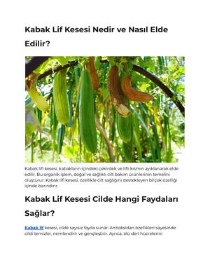 Kabak Lifi Nedir Nasıl Kullanılır