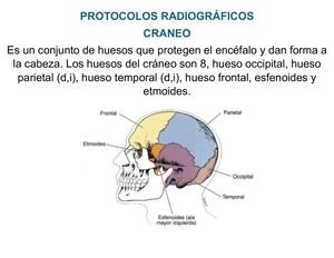 Recopilación Y Presentación De Protocolos Cráneo y Cara