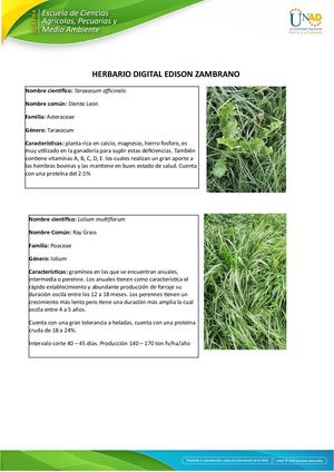 Herbario Edison Zambrano