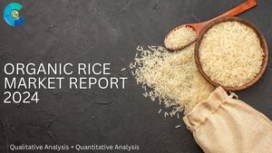 Organic Rice Market Report 2024