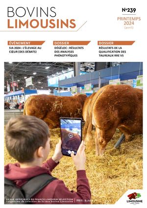 Bovins Limousins 239 / Extrait