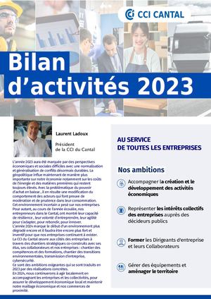 Cci 15 Bilan Activités