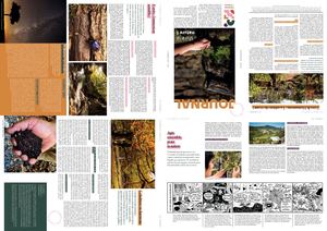 Journal n°4 Cévennes d'Ardèche