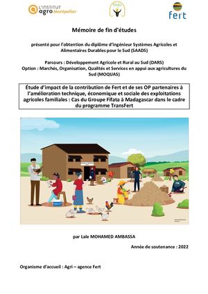 Etude d'Impact - Madagascar | Mémoire de L. MOHAMED AMBASSA (2022)