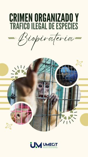 Crimen Organizado Y Tráfico Ilegal De Especies