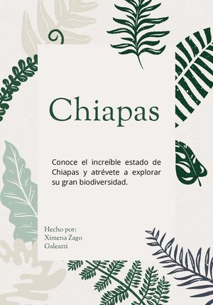 Revista Chiapas