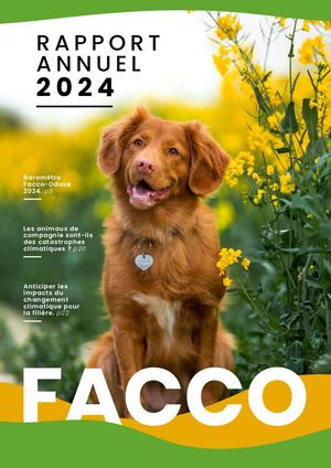 Rapport Activite Facco 2024 - Agence Comtogether.fr
