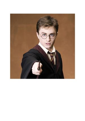 Le Film Harry Potter