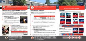 Alternance