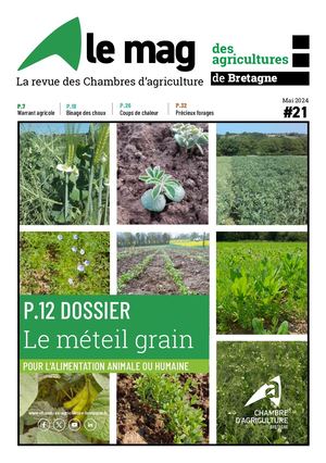 Le Mag des agricultures de Bretagne N_21