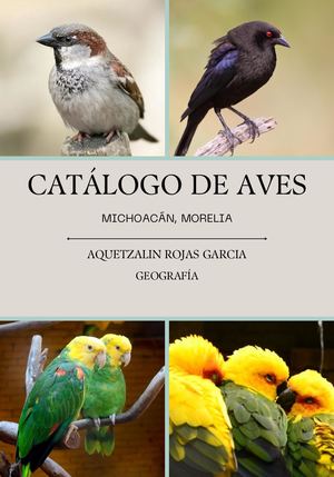 Revista Catalogo de Aves