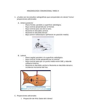 Tarea 4 Imagenología Convencional