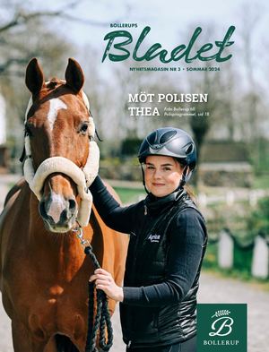 Bollerupsbladet 3 2024