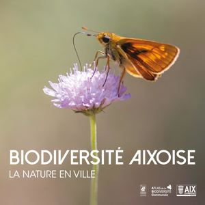 Abc 2024 Rapport Web