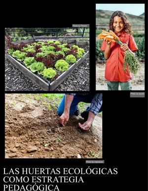 La Huerta Como Estrategia Pedagogica