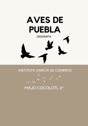 Catálogo De Aves De Puebla