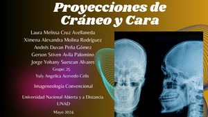 Proyecciones Cara Y Cráneo
