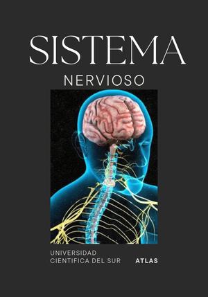 Modern Aesthetic Photography Beauty Personal Interests Zine 20240515 212117 0000