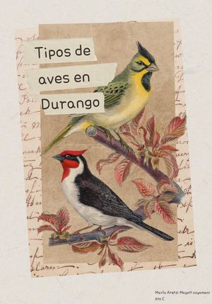 Catálogo de Aves de Durango