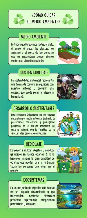 Infografía Conceptos Del Medio Ambiente Simple Verde