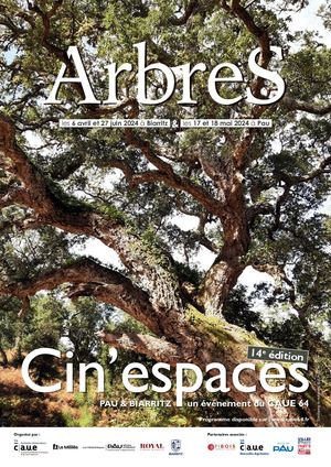 240422 Cinespaces Pau Programme