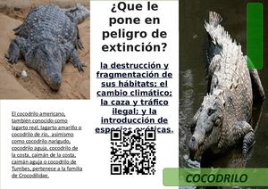 COCODRILO