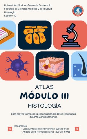 Atlas del Modulo III