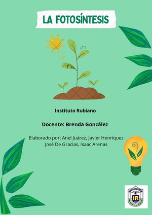 La Fotosíntesis 11M