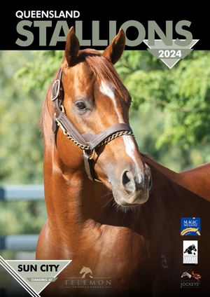 Qld Stallions Directory 2024