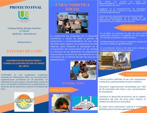 Proyecto Final De Aspamet Estudio De Caso