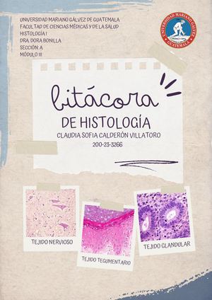 Bitácora Histología Módulo III