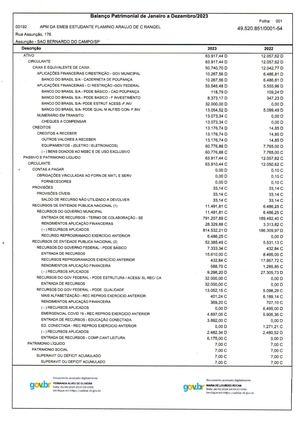 Balanço Patrimonial De Janeiro A Dezembro De 2023