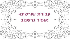 עבודת שורשים אופיר גרשנוב