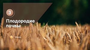 3. Плодородие почвы