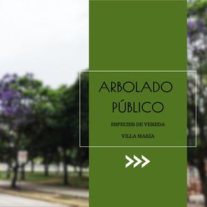 ARBOLADO PÚBLICO