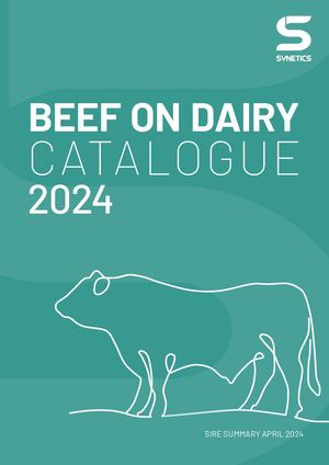 Synetics catalogue beef on dairy