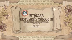 Bitácora Modulo Iii Histología