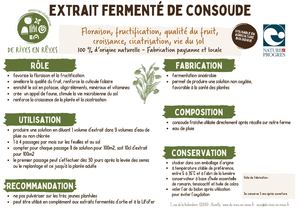 Étiquette extrait fermenté de consoude - particuliers Calameo