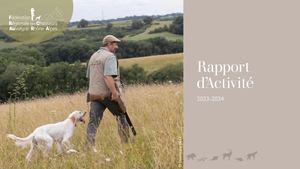 Rapport d'activité 2023-2024