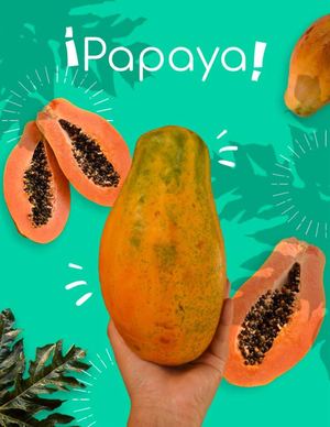 Folleto Fruta