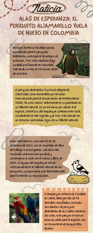 Alas de Esperanza: El Periquito Aliamarillo Vuela de Nuevo en Colombia