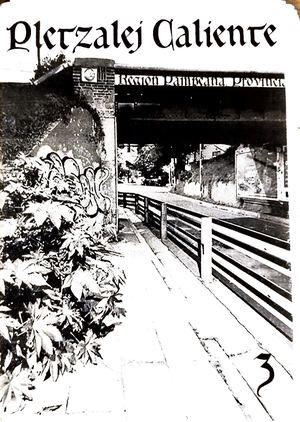 Pletzalej Caliente 3