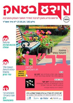 מידע בעמק גיליון 263